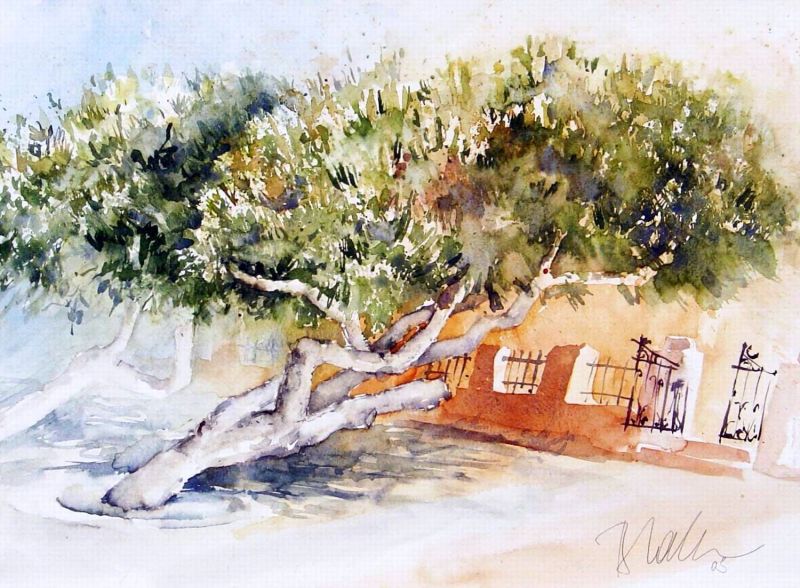 Parkbäume in Oia auf Santorin (2003)