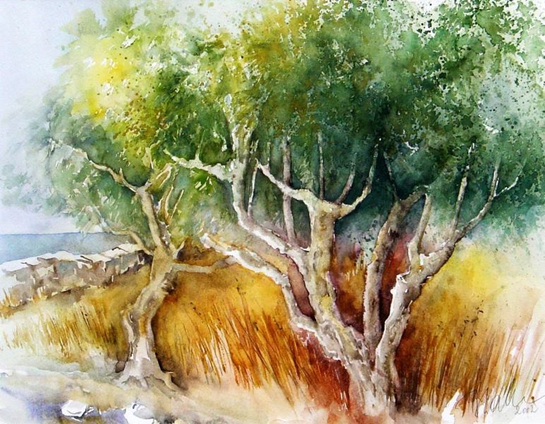 Olivenbäume in Koroni (2002)